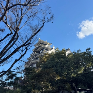 pic of okayama castle