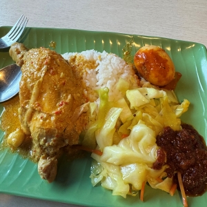 pic of laksa yong tau fu